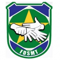 FDSMT